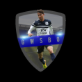/album/england-renders-world-cup-suggestion-/gwsbo-logo-png/